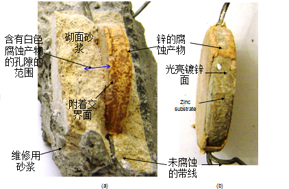 图片26.png