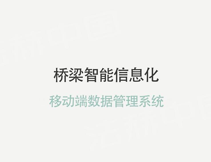 桥隧移动智能管理系统